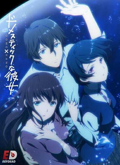 انمي Domestic na Kanojo الحلقة 1