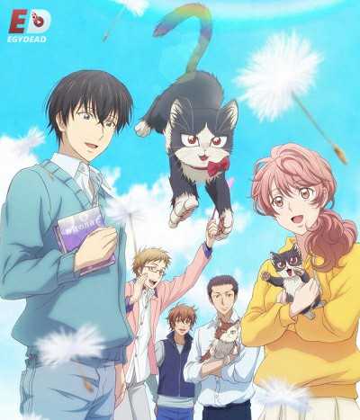 انمي Doukyonin wa Hiza Tokidoki Atama no Ue الحلقة 7