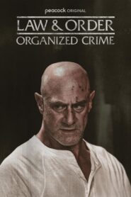 مشاهدة مسلسل Law & Order: Organized Crime موسم 5 حلقة 9